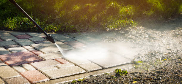 Best Spring Cleaning  in Oak Grove, VA
